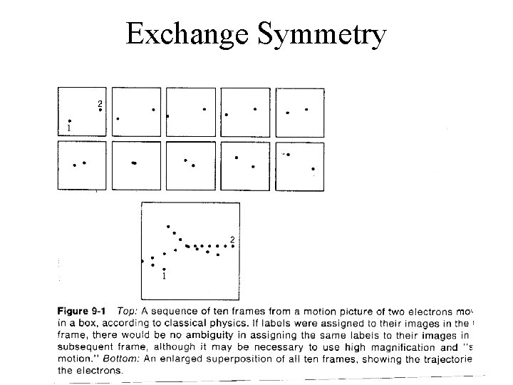 Exchange Symmetry 