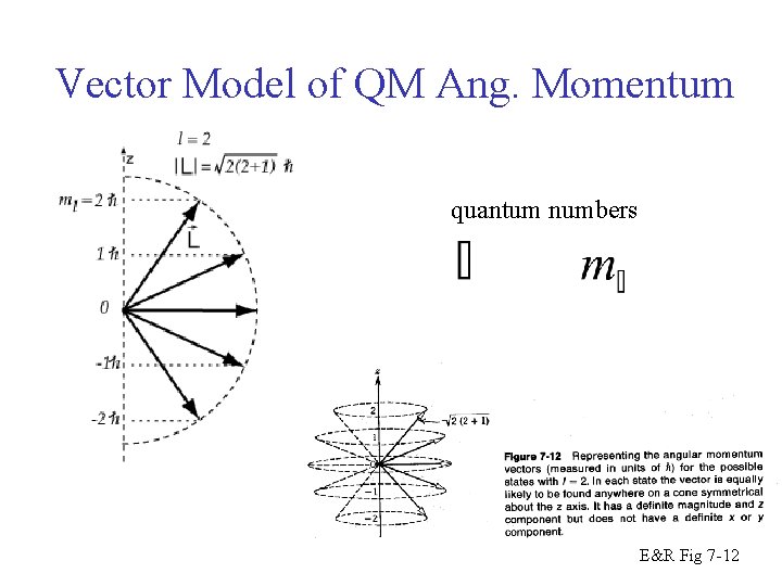 Vector Model of QM Ang. Momentum quantum numbers E&R Fig 7 -12 