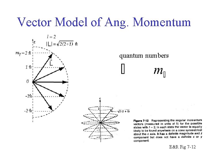 Vector Model of Ang. Momentum quantum numbers E&R Fig 7 -12 
