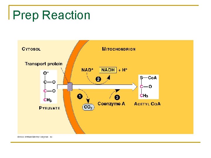 Prep Reaction 