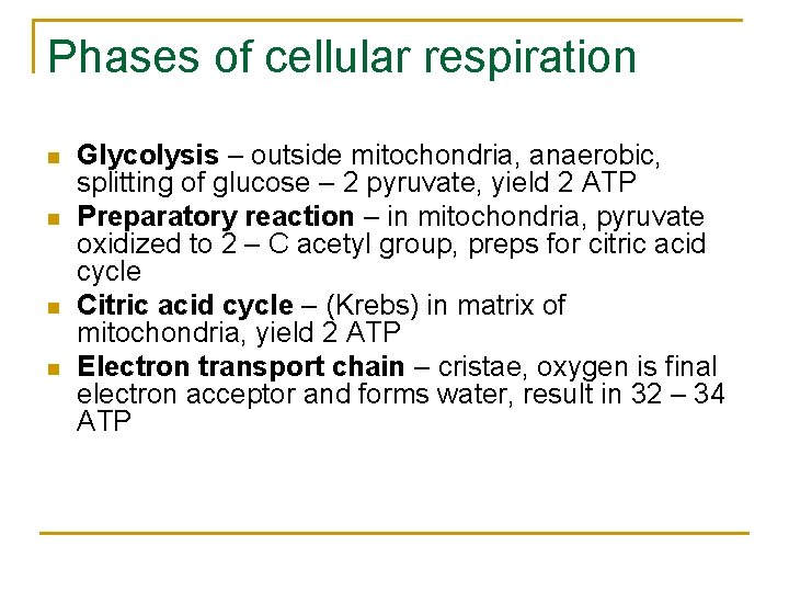 Phases of cellular respiration n n Glycolysis – outside mitochondria, anaerobic, splitting of glucose