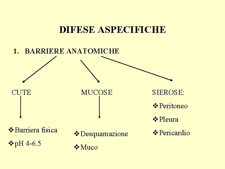 DIFESE ASPECIFICHE 1. BARRIERE ANATOMICHE CUTE MUCOSE SIEROSE: v. Peritoneo v. Pleura v. Barriera