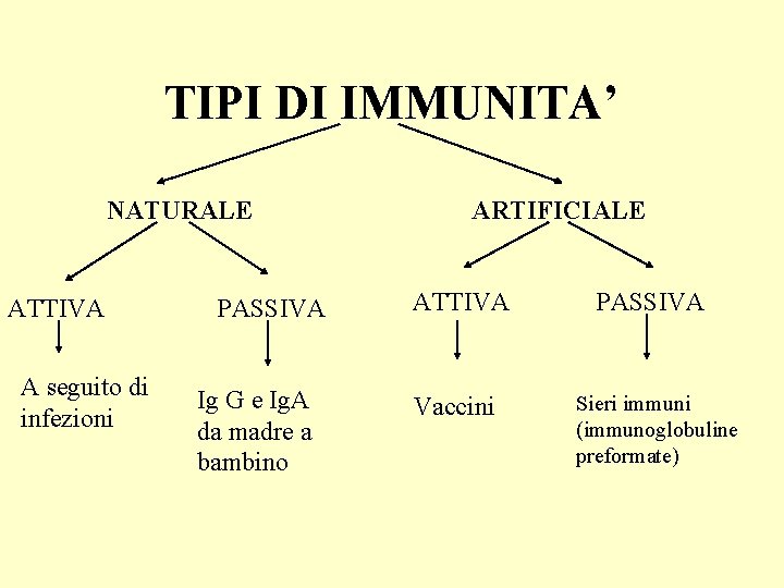 TIPI DI IMMUNITA’ NATURALE ATTIVA A seguito di infezioni PASSIVA Ig G e Ig.