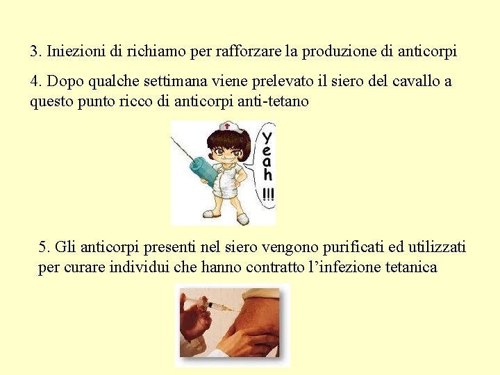 3. Iniezioni di richiamo per rafforzare la produzione di anticorpi 4. Dopo qualche settimana