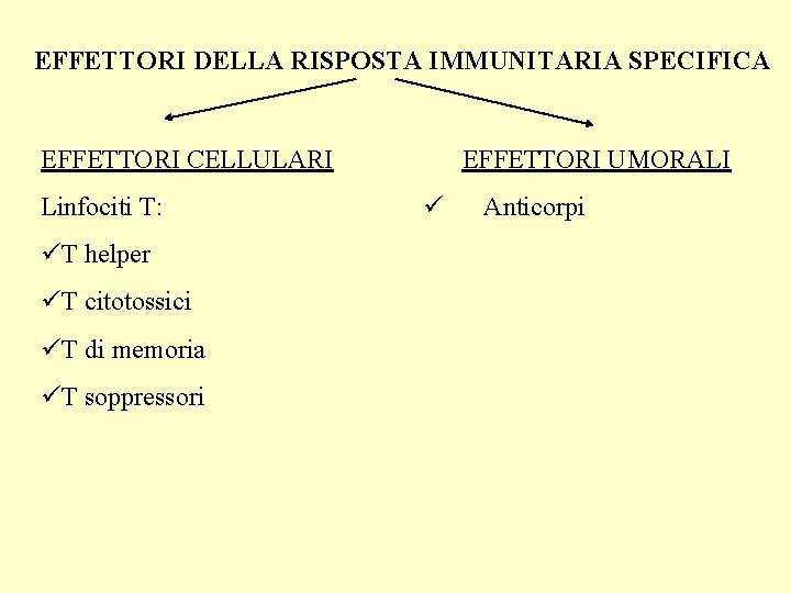 EFFETTORI DELLA RISPOSTA IMMUNITARIA SPECIFICA EFFETTORI CELLULARI Linfociti T: üT helper üT citotossici üT