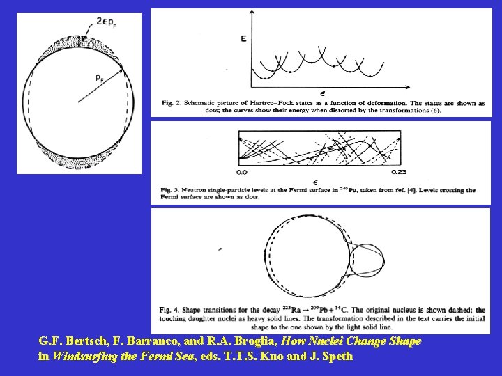 G. F. Bertsch, F. Barranco, and R. A. Broglia, How Nuclei Change Shape in