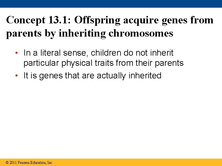 Concept 13. 1: Offspring acquire genes from parents by inheriting chromosomes • In a