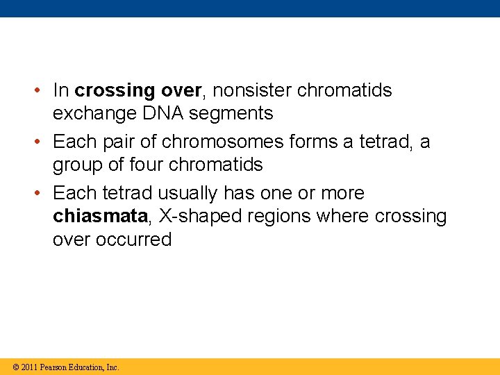  • In crossing over, nonsister chromatids exchange DNA segments • Each pair of