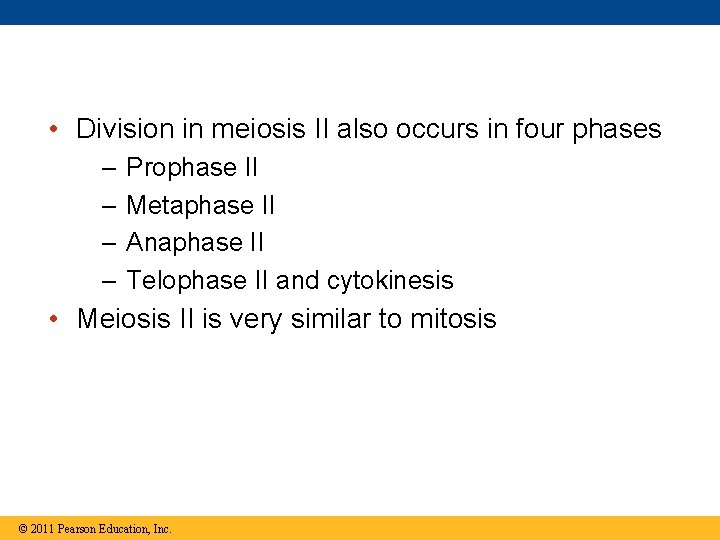  • Division in meiosis II also occurs in four phases – – Prophase