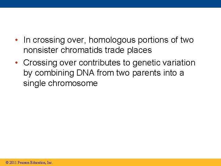  • In crossing over, homologous portions of two nonsister chromatids trade places •