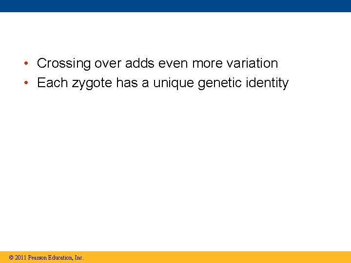  • Crossing over adds even more variation • Each zygote has a unique