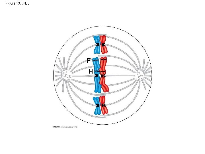 Figure 13. UN 02 F H 