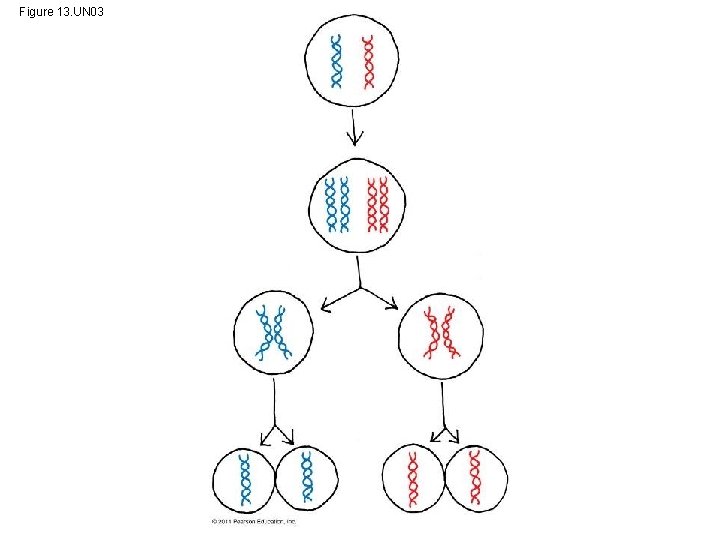 Figure 13. UN 03 