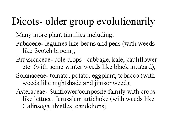 Dicots- older group evolutionarily Many more plant families including: Fabaceae- legumes like beans and