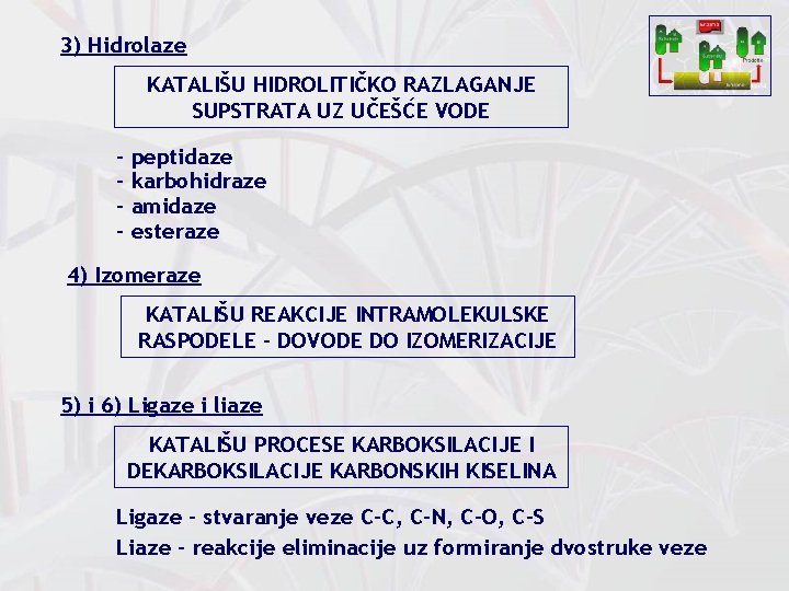 3) Hidrolaze KATALIŠU HIDROLITIČKO RAZLAGANJE SUPSTRATA UZ UČEŠĆE VODE - peptidaze karbohidraze amidaze esteraze