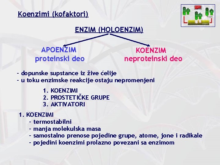 Koenzimi (kofaktori) ENZIM (HOLOENZIM) APOENZIM proteinski deo KOENZIM neproteinski deo - dopunske supstance iz