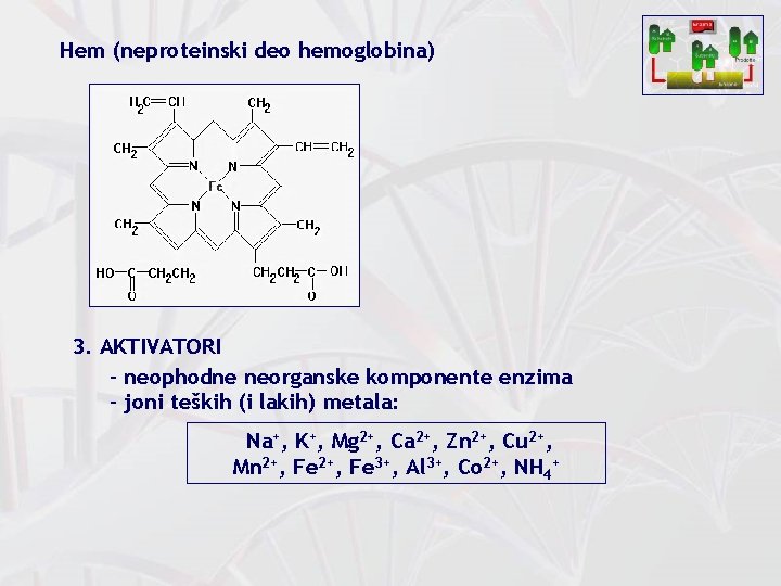 Hem (neproteinski deo hemoglobina) 3. AKTIVATORI - neophodne neorganske komponente enzima - joni teških