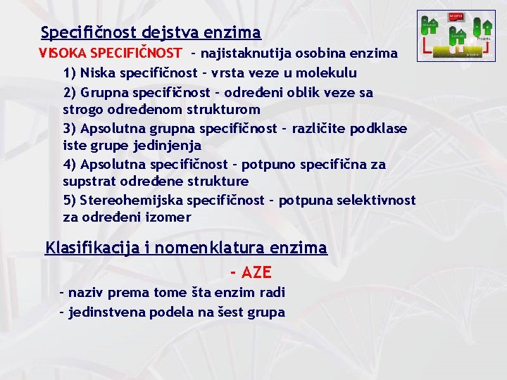 Specifičnost dejstva enzima VISOKA SPECIFIČNOST - najistaknutija osobina enzima 1) Niska specifičnost - vrsta