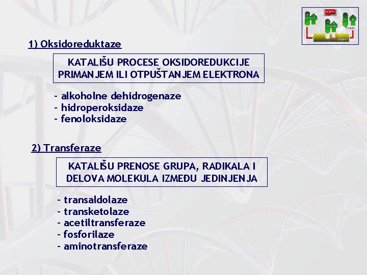 1) Oksidoreduktaze KATALIŠU PROCESE OKSIDOREDUKCIJE PRIMANJEM ILI OTPUŠTANJEM ELEKTRONA - alkoholne dehidrogenaze - hidroperoksidaze