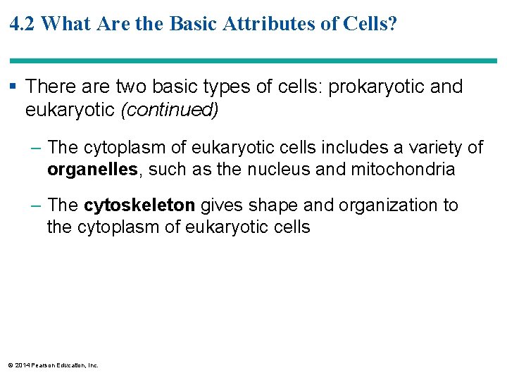 4. 2 What Are the Basic Attributes of Cells? § There are two basic