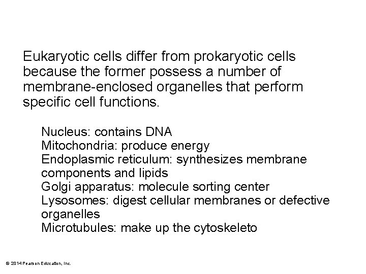 Eukaryotic cells differ from prokaryotic cells because the former possess a number of membrane-enclosed