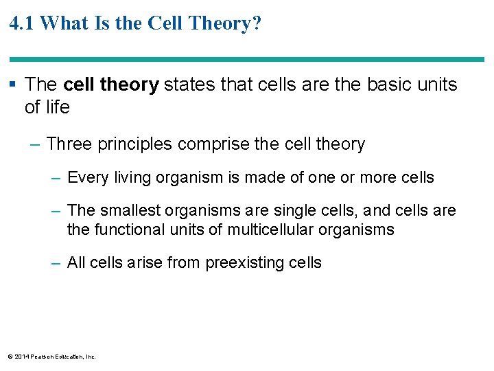 4. 1 What Is the Cell Theory? § The cell theory states that cells