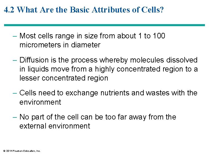 4. 2 What Are the Basic Attributes of Cells? – Most cells range in
