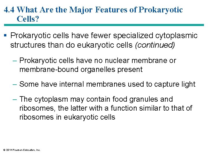 4. 4 What Are the Major Features of Prokaryotic Cells? § Prokaryotic cells have