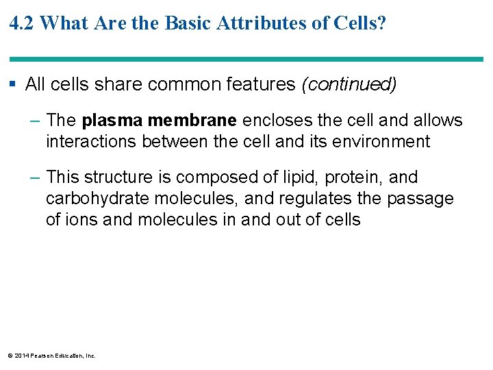 4. 2 What Are the Basic Attributes of Cells? § All cells share common