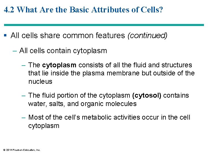4. 2 What Are the Basic Attributes of Cells? § All cells share common