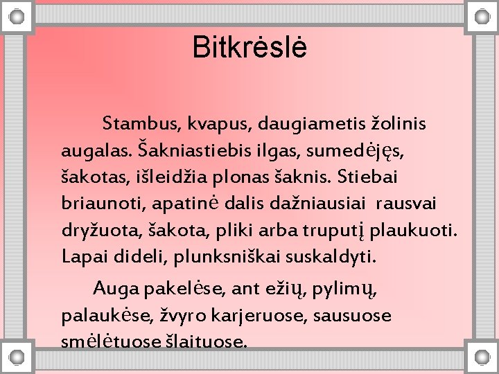 Bitkrėslė Stambus, kvapus, daugiametis žolinis augalas. Šakniastiebis ilgas, sumedėjęs, šakotas, išleidžia plonas šaknis. Stiebai