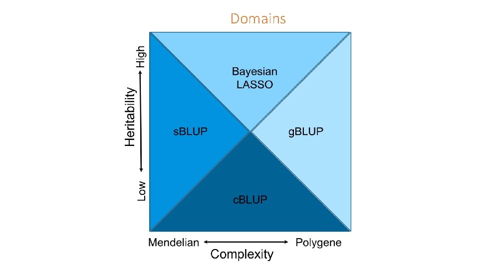Domains 