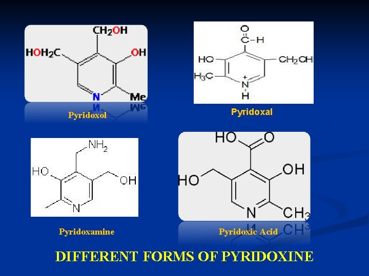 Pyridoxol Pyridoxamine Pyridoxal Pyridoxic Acid DIFFERENT FORMS OF PYRIDOXINE 