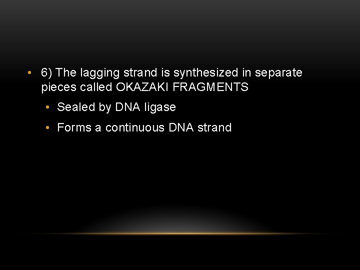  • 6) The lagging strand is synthesized in separate pieces called OKAZAKI FRAGMENTS