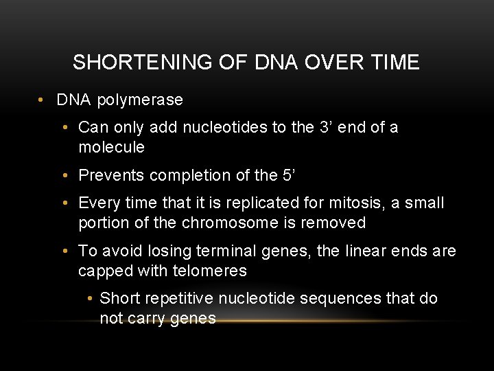 SHORTENING OF DNA OVER TIME • DNA polymerase • Can only add nucleotides to