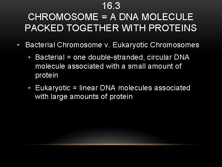 16. 3 CHROMOSOME = A DNA MOLECULE PACKED TOGETHER WITH PROTEINS • Bacterial Chromosome
