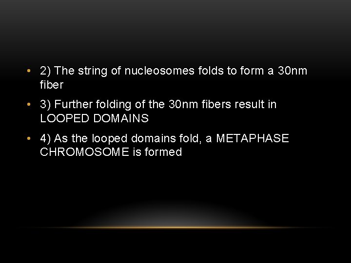  • 2) The string of nucleosomes folds to form a 30 nm fiber
