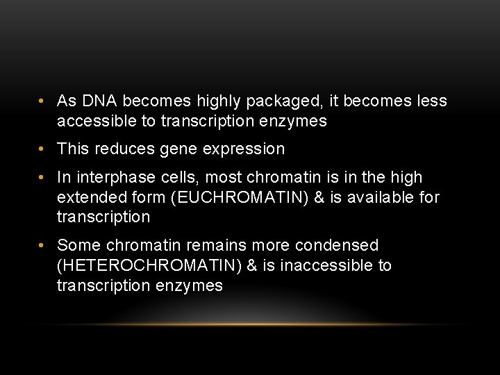  • As DNA becomes highly packaged, it becomes less accessible to transcription enzymes