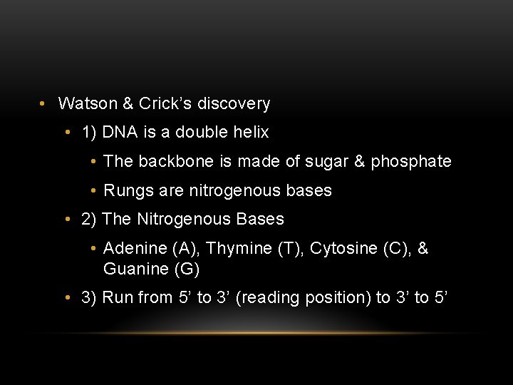  • Watson & Crick’s discovery • 1) DNA is a double helix •