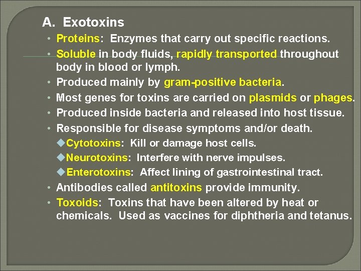A. Exotoxins • Proteins: Enzymes that carry out specific reactions. • Soluble in body