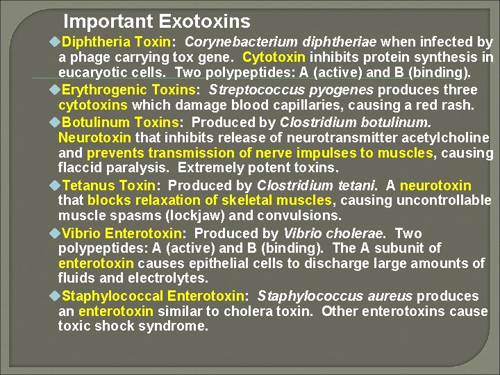 Important Exotoxins u. Diphtheria Toxin: Corynebacterium diphtheriae when infected by a phage carrying tox