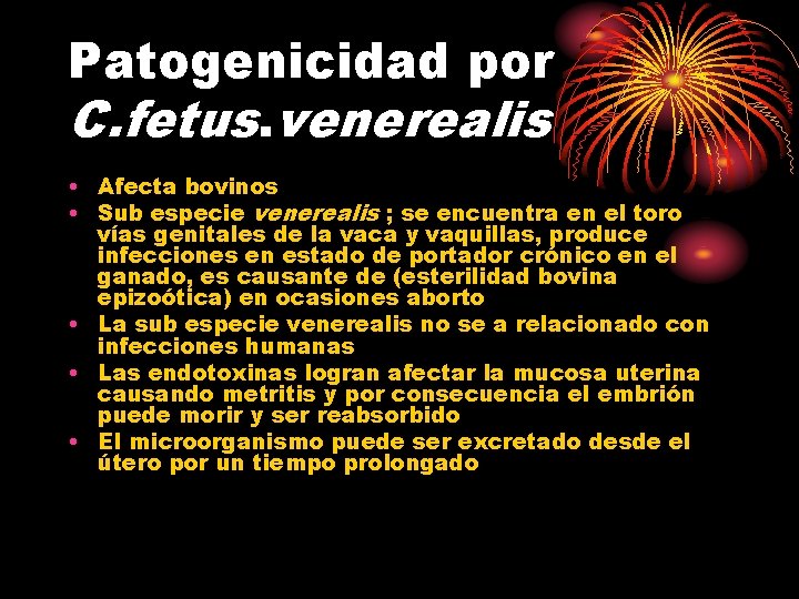 Patogenicidad por C. fetus. venerealis • Afecta bovinos • Sub especie venerealis ; se
