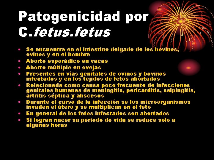 Patogenicidad por C. fetus • Se encuentra en el intestino delgado de los bovinos,