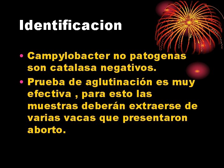 Identificacion • Campylobacter no patogenas son catalasa negativos. • Prueba de aglutinación es muy