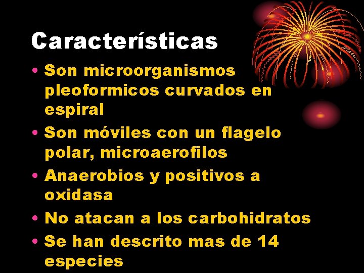 Características • Son microorganismos pleoformicos curvados en espiral • Son móviles con un flagelo