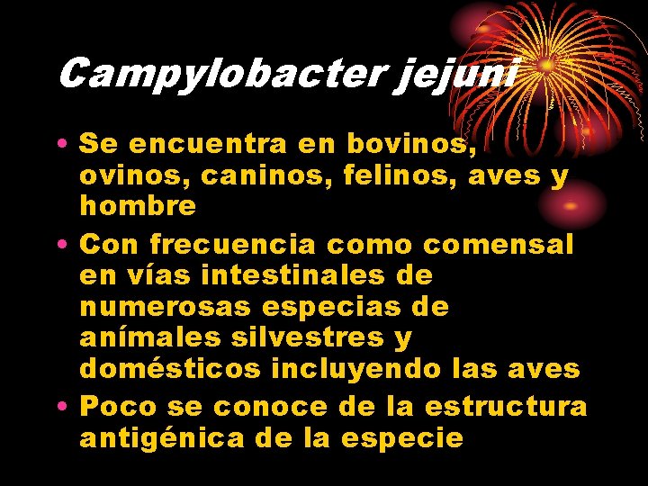 Campylobacter jejuni • Se encuentra en bovinos, caninos, felinos, aves y hombre • Con