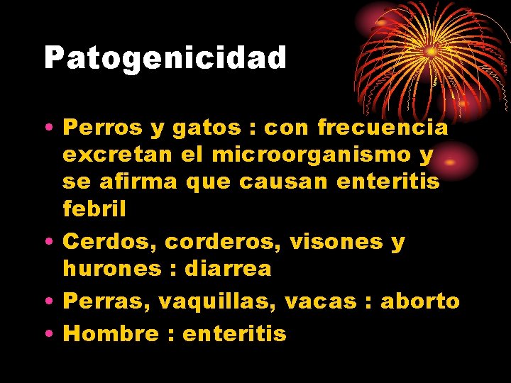 Patogenicidad • Perros y gatos : con frecuencia excretan el microorganismo y se afirma