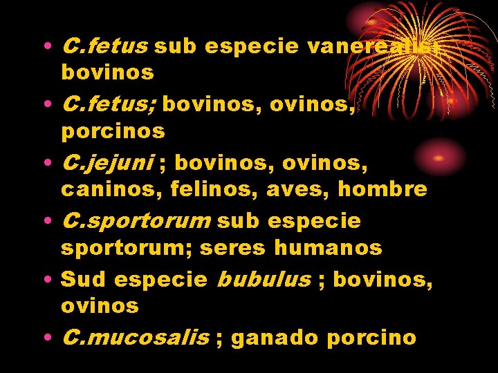  • C. fetus sub especie vanerealis; bovinos • C. fetus; bovinos, porcinos •