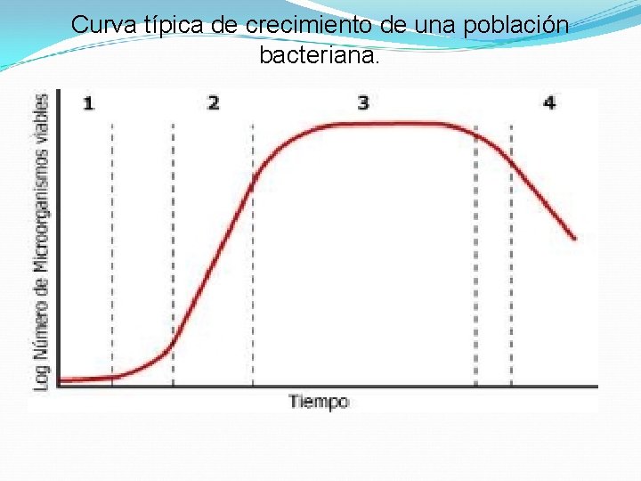 Curva típica de crecimiento de una población bacteriana. 