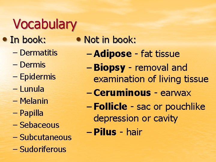 Vocabulary • In book: – Dermatitis – Dermis – Epidermis – Lunula – Melanin
